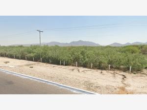 Terreno en venta en Corona, Matamoros — foto 2 de 8