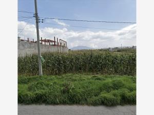 Terreno en venta en San Miguel Totocuitlapilco, Metepec — foto 2 de 3