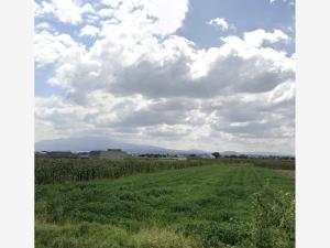 Terreno en venta en San Miguel Totocuitlapilco, Metepec — foto 3 de 3