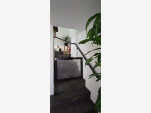 Casa en venta en Lomas Hidalgo, Tlalpan — foto 3 de 30