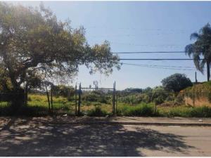 Terreno en venta en Vicente Guerrero, Cuernavaca — foto 3 de 6