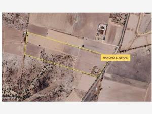 Finca-Rancho en venta en La Tinaja, El Llano — foto 2 de 14