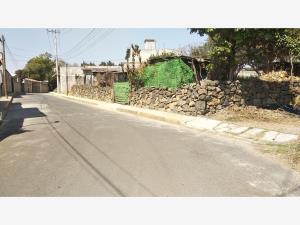 Terreno en venta en Tepetlixpa, Tepetlixpa, México