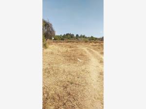 Terreno en venta en Tepetlixpa, Tepetlixpa — foto 3 de 10