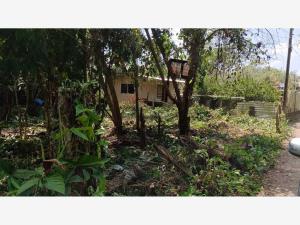 Terreno en venta en Quintin Arauz, Paraíso — foto 3 de 4