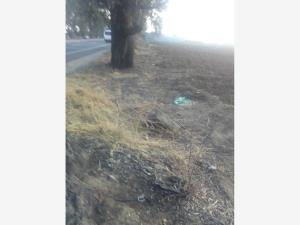 Terreno en venta en Telchicayac (El Cabellito), Atlatlahucan — foto 3 de 24