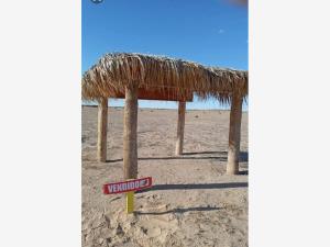 Terreno en venta en Puerto Peñasco Centro, Puerto Peñasco — foto 2 de 11
