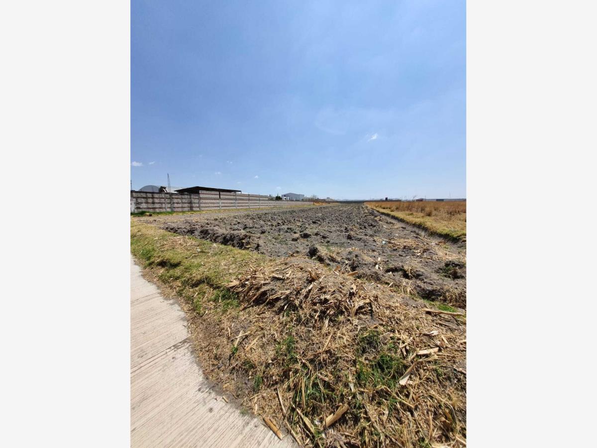 Terreno en venta en San Bernardino Tlaxcalancingo, San Andrés Cholula — foto 1 de 7