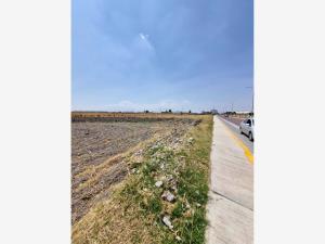 Terreno en venta en San Bernardino Tlaxcalancingo, San Andrés Cholula — foto 2 de 7