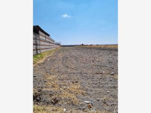 Terreno en venta en San Bernardino Tlaxcalancingo, San Andrés Cholula — foto 3 de 7