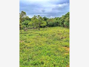 Terreno en venta en Berriozabal Centro, Berriozábal — foto 2 de 5