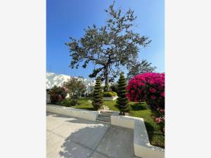 Terreno en venta en Joyas del Campestre, Tuxtla Gutiérrez — foto 3 de 8