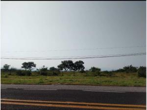 Terreno en venta en Alpuyeca, Xochitepec — foto 2 de 4
