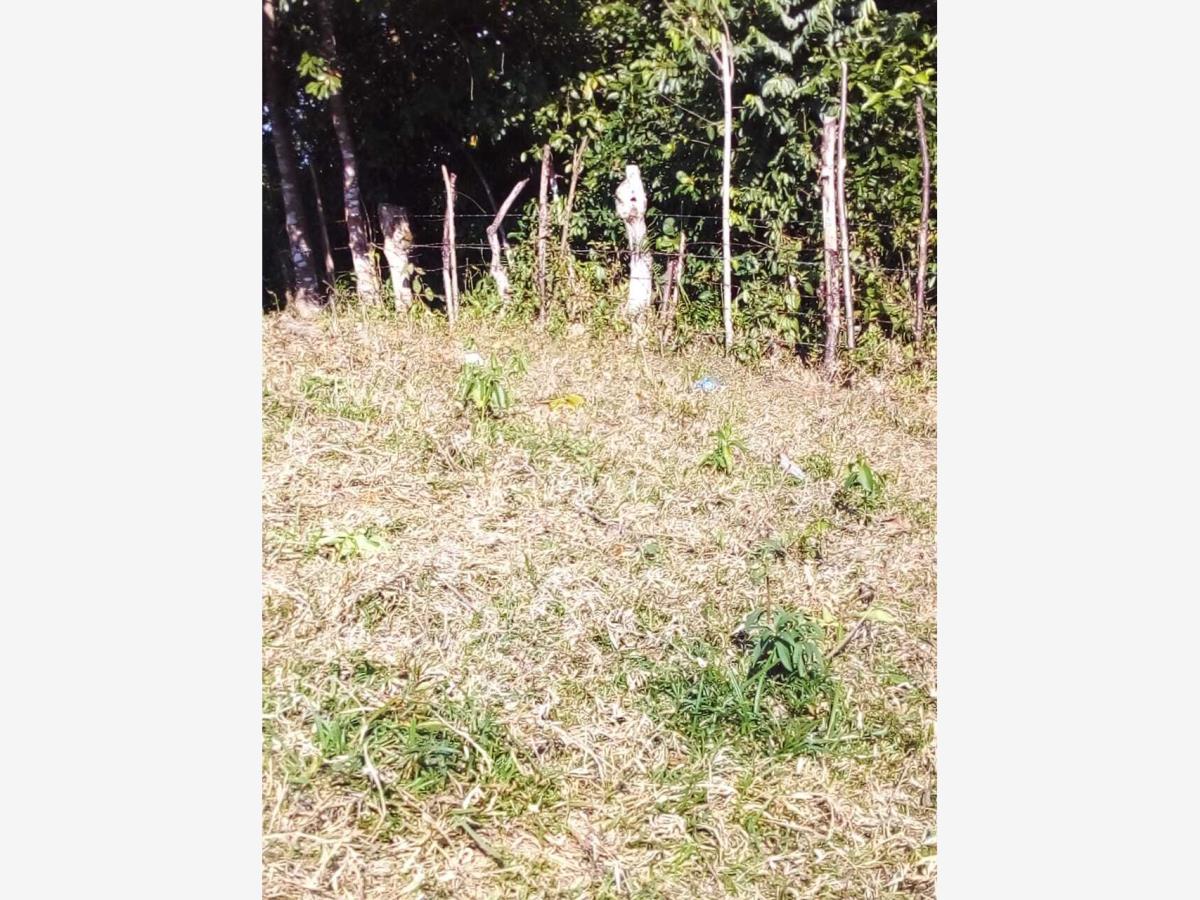 Terreno en venta en San Lucas Ojitlán, San Lucas Ojitlán — foto 1 de 7