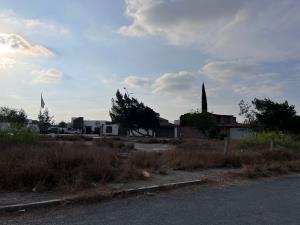 Terreno en renta en San Isidro, Saltillo — foto 2 de 4