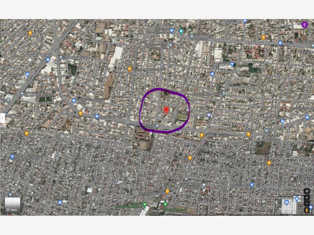 Imagen 5