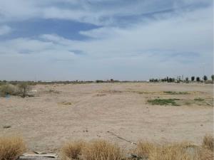 Terreno en venta en La Union, Torreón — foto 3 de 7