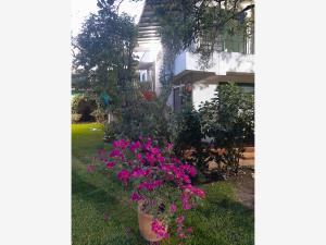 Quinta en venta en Volcanes de Cuautla, Cuautla — foto 2 de 36
