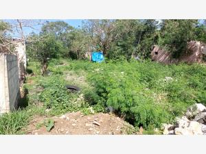 Terreno en venta en Chicxulub, Chicxulub Pueblo — foto 2 de 6