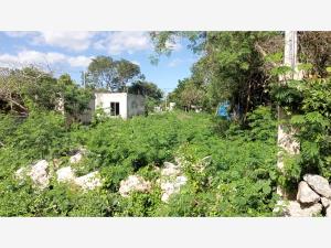 Terreno en venta en Chicxulub, Chicxulub Pueblo — foto 3 de 6