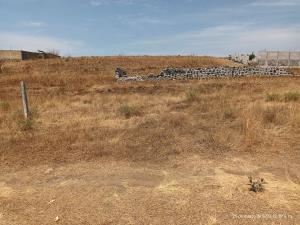 Terreno en venta en Tlaltetelco (San Miguel Tlaltetelco), Atlatlahucan — foto 3 de 6
