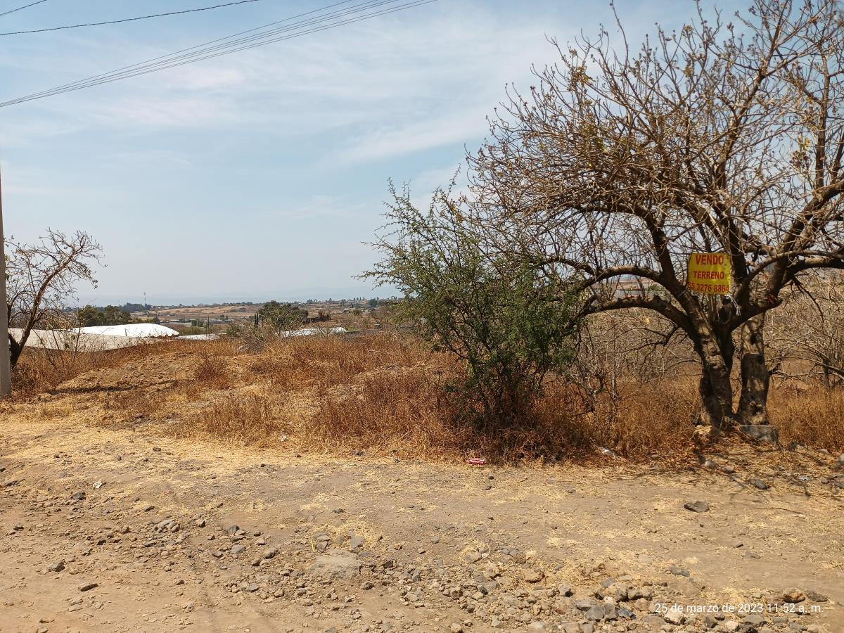 Terreno en venta en Tlaltetelco (San Miguel Tlaltetelco), Atlatlahucan — foto 1 de 5