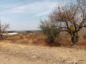 Terreno en venta en Tlaltetelco (San Miguel Tlaltetelco), Atlatlahucan, Morelos Terreno en venta en Tlaltetelco (San Miguel Tlaltetelco), Atlatlahucan, Morelos