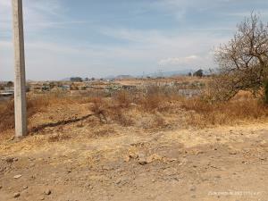Terreno en venta en Tlaltetelco (San Miguel Tlaltetelco), Atlatlahucan — foto 3 de 5