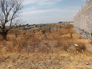 Terreno en venta en Tlaltetelco (San Miguel Tlaltetelco), Atlatlahucan — foto 2 de 5