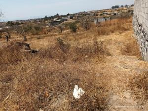 Terreno en venta en Tlaltetelco (San Miguel Tlaltetelco), Atlatlahucan — foto 3 de 5