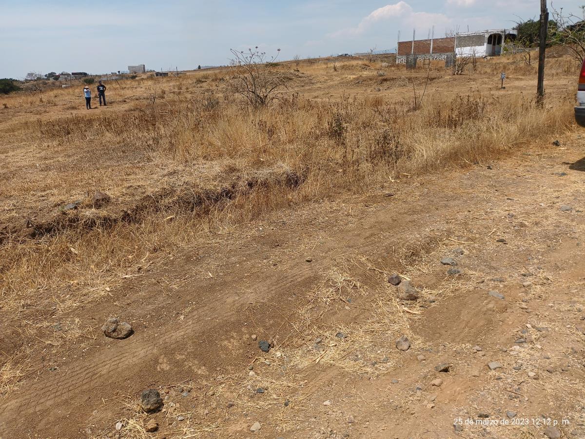 Terreno en venta en Tlaltetelco (San Miguel Tlaltetelco), Atlatlahucan — foto 1 de 5