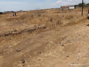 Terreno en venta en Tlaltetelco (San Miguel Tlaltetelco), Atlatlahucan, Morelos Terreno en venta en Tlaltetelco (San Miguel Tlaltetelco), Atlatlahucan, Morelos