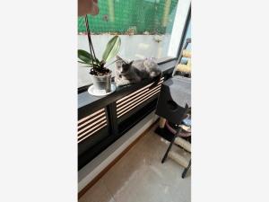 Casa en venta en Bosques del Alba I, Cuautitlán Izcalli — foto 3 de 19