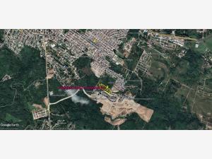 Terreno en venta en Terranova, Emiliano Zapata — foto 2 de 9