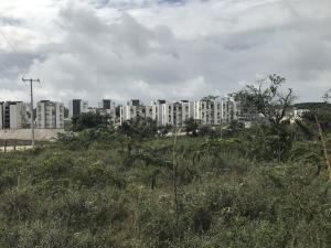 Terreno en venta en Terranova, Emiliano Zapata — foto 3 de 9