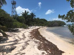 Terreno en venta en Andres Quintana Roo, Felipe Carrillo Puerto, Quintana Roo
