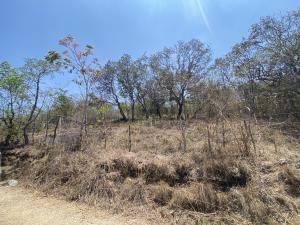 Terreno en venta en Copoya, Tuxtla Gutiérrez — foto 2 de 5