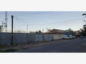 Terreno en renta en Eduardo Guerra, Torreón — foto 2 de 13