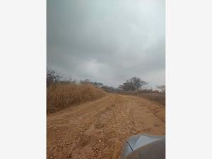Terreno en venta en El Chico, Emiliano Zapata — foto 2 de 3