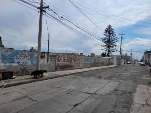 Terreno en venta en Morelos, Pachuca de Soto — foto 2 de 3
