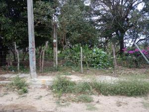 Terreno en venta en Nuevo Madero, Altamira — foto 2 de 7