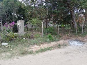 Terreno en venta en Nuevo Madero, Altamira — foto 3 de 7