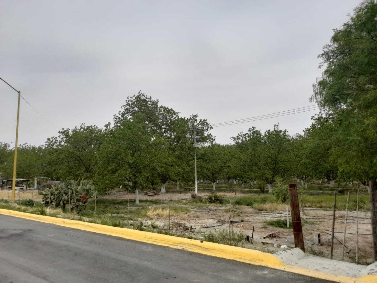 Terreno en venta en Parras de la Fuente Centro, Parras — foto 1 de 8