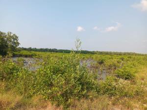 Terreno en venta en Puerto Ceiba (carrizal), Paraíso — foto 2 de 8