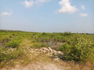 Terreno en venta en Puerto Ceiba (carrizal), Paraíso — foto 3 de 8