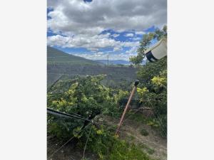 Finca-Rancho en venta en Jame, Arteaga — foto 2 de 22