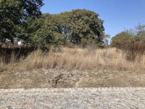 Terreno en venta en Campestre Haras, Amozoc — foto 2 de 3