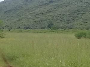 Terreno en venta en La Palma, Pedro Escobedo — foto 2 de 4