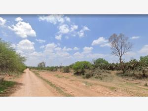 Terreno en venta en San José la Peñuela (La Peñuela), Colón — foto 3 de 3