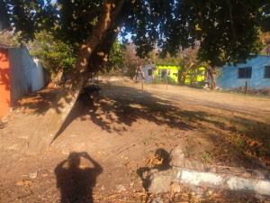 Terreno en venta en Anton Lizardo, Alvarado — foto 2 de 3